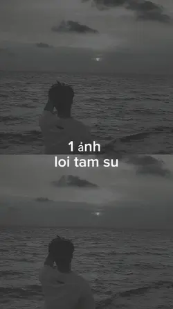 1 ảnh 