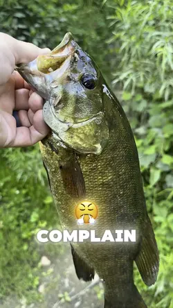 Roger that Smallie 