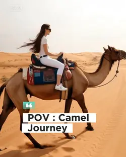 Camel Journey