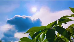 cinematic