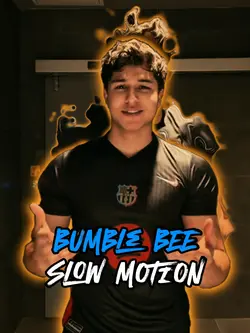 BUMBLE BEE