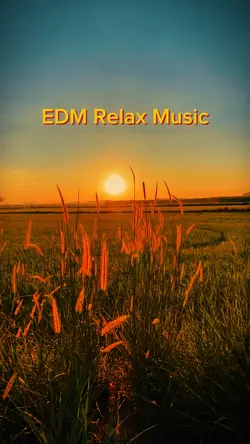 EDM Relax Music 
