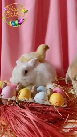 Happy Easter