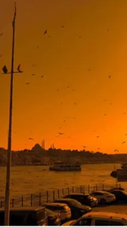 Racon geldi🦅