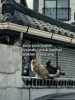 pura pura bodoh 