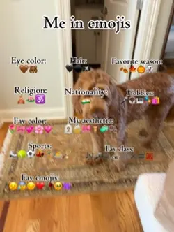Me in emojis! 