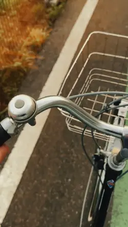 aesthetic