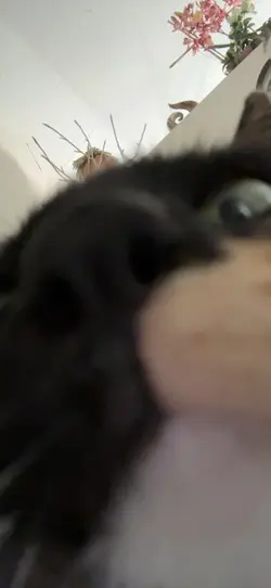 Hehehe 🤭 