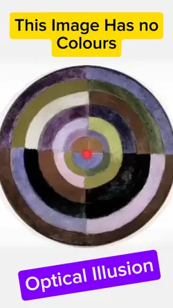 Optical Illusion