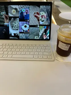 stecu 3 video 