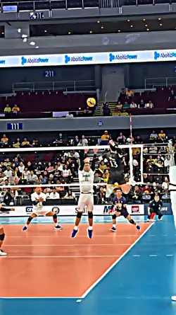 VOLLEYBALL HIGHLIGHT