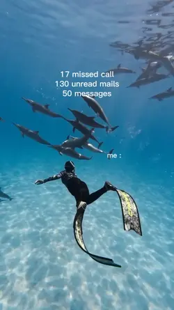 17 missed call