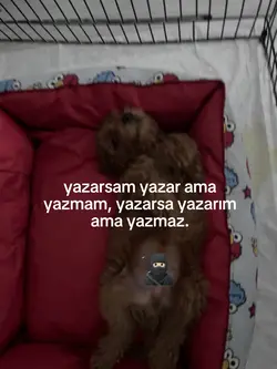 arkadaki bebis pekii
