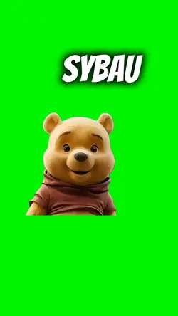 SYBAU POOH