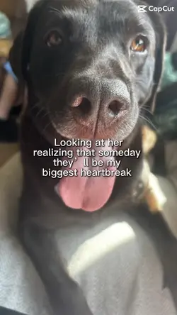 Roxi!