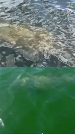 2 video