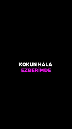 Yeni Şablon 