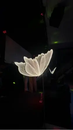 CULTO DE MULHERES 