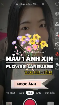 Mẫu 1 ảnh xịn