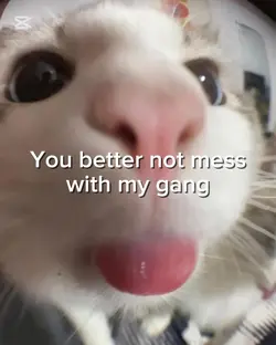 You better not mess