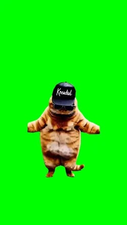 ORANGE CAT DANCING