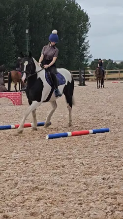 Cow pony <3 
