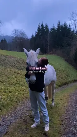 Fall in Love again