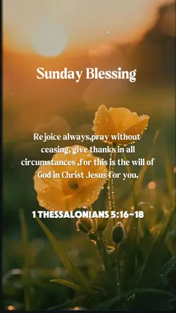 Happy Sunday 