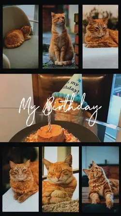 Birthday 