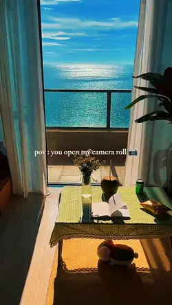 your open camera 