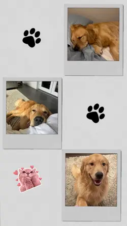 Mi gran mascota 