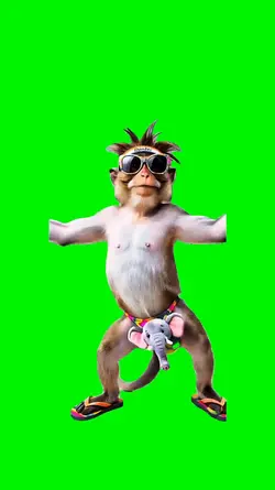dance monkey