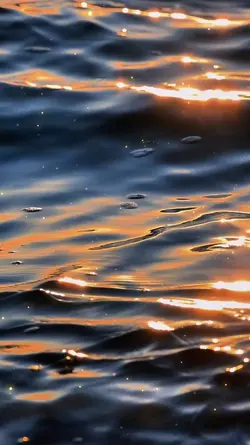 THROUGH BEAUTY 
