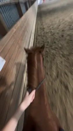 slowmotion 