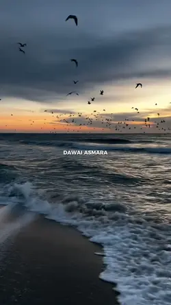 DAWAI ASMARA 