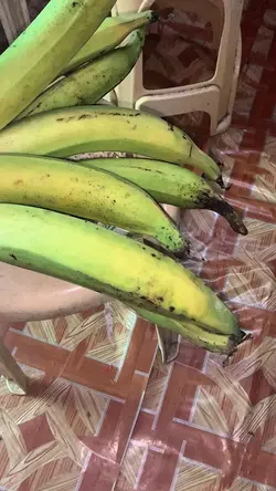 Bakas ka