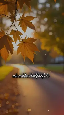 သႂ်ႇၶႅပ်းႁၢင်ႈသူ1