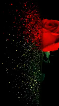Particle Rose