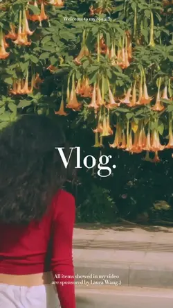Vlog