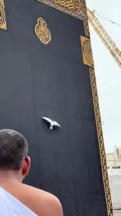 دعا 