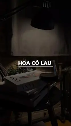 HOA CỎ LAU REMIX 