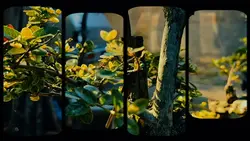 Cinematic trend song