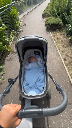 Daily walks 