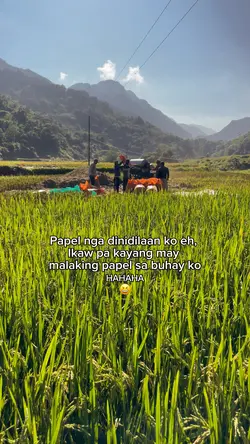 Anong papel mo?