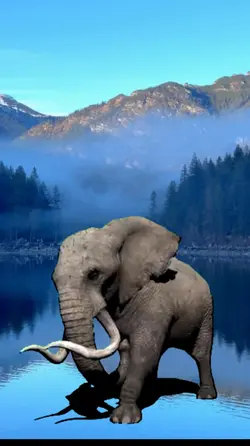 Greenscreen Gajah