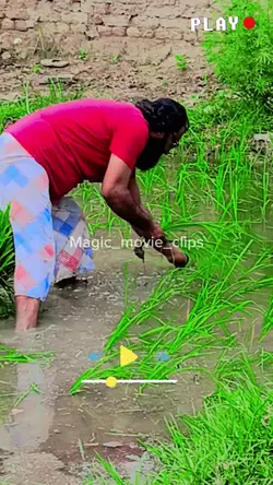 Ae hawa vi dost full