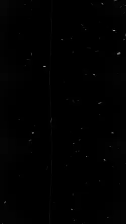 See you again