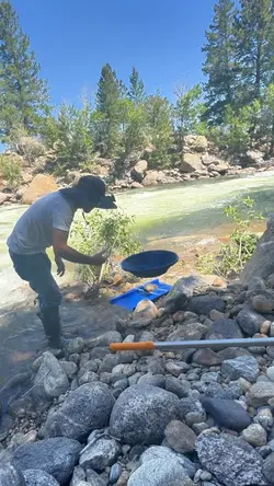 Gold mining 