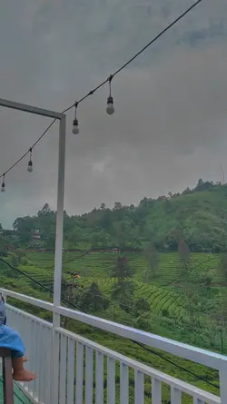 LAGU KEBUN