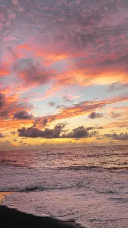 Vidio estetik sunset